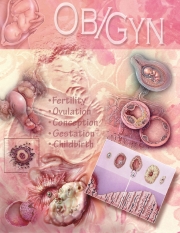 ObGyn