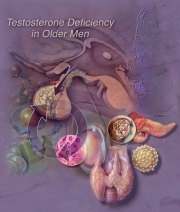 Testosterone Deficiency in Older Men