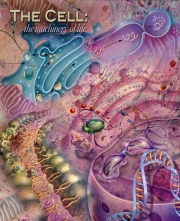 The Cell: Machinery of Life