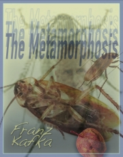 The Metamorphosis Book Cover
